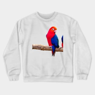 Cute lovebird Crewneck Sweatshirt